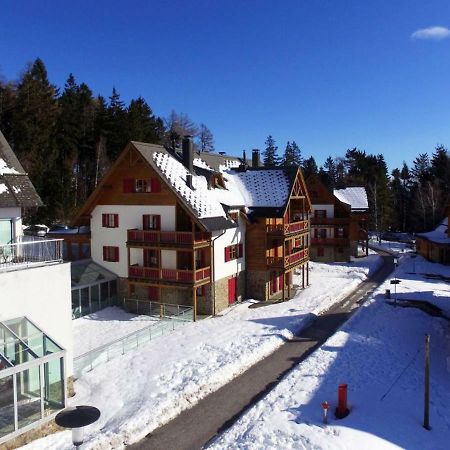Antela, 142 M2 Appartment For 12 Person In Mariborsko Pohorje Хочко Похорє Екстер'єр фото