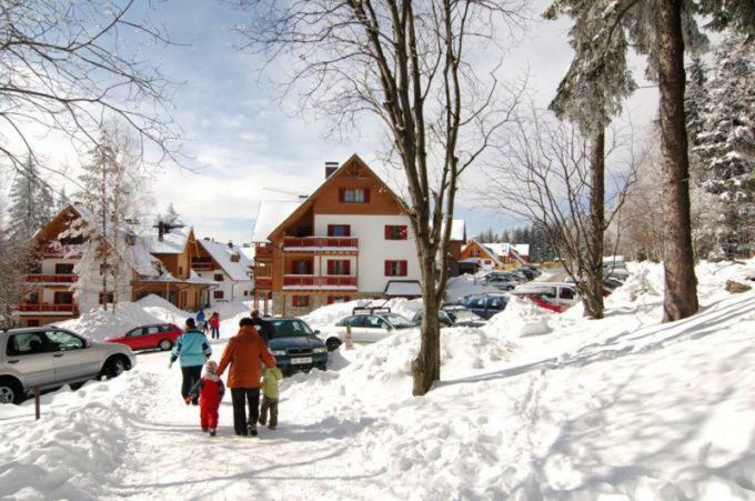 Antela, 142 M2 Appartment For 12 Person In Mariborsko Pohorje Хочко Похорє Екстер'єр фото